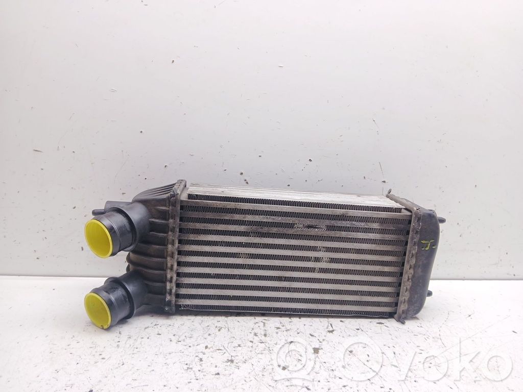 Radiator intercooler   E5531008,1498987080,9684994080