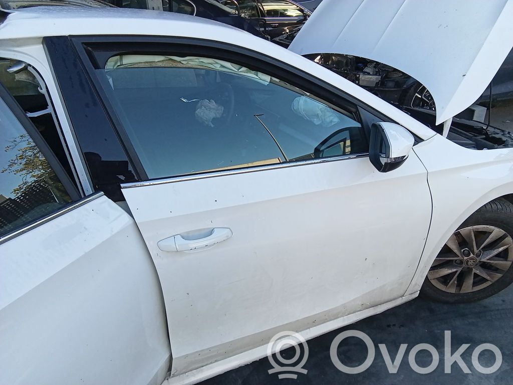 Skoda Fabia Mk4 (6VA) Priekinės durys 