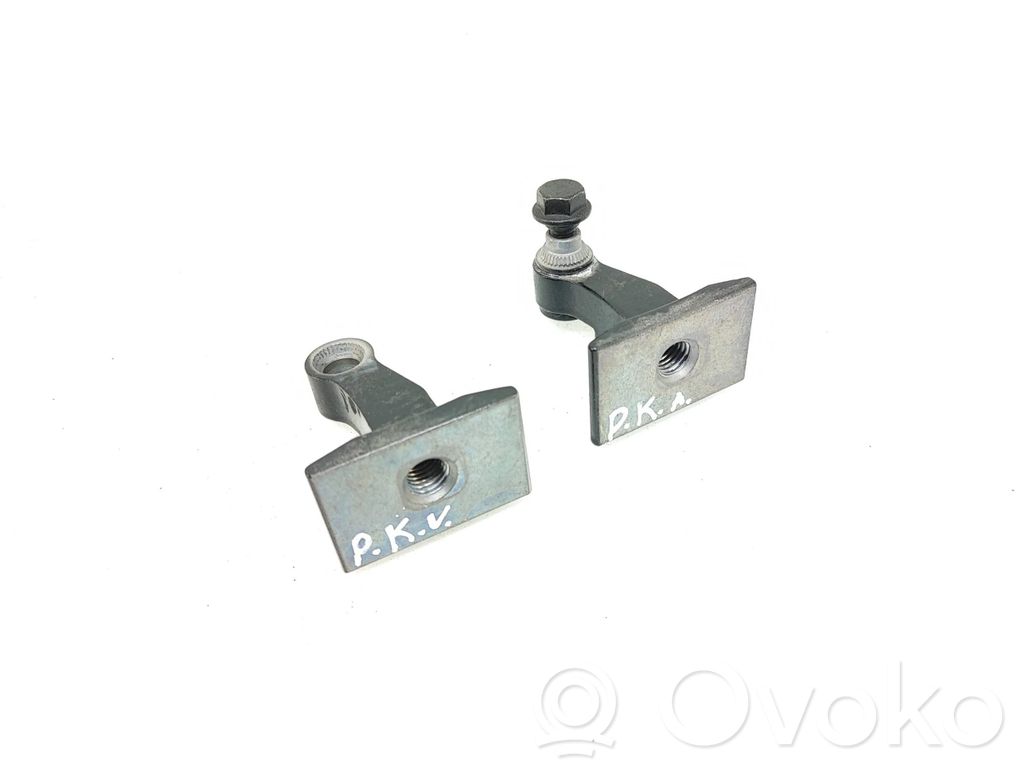 BMW i4 Front door hinges set 