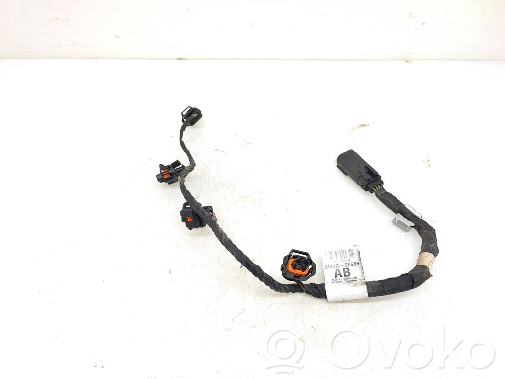Faisceau de fils d'injecteur de carburant   BM5G9F666AB,A12409355,BM5G9F666,12326118,12326118000