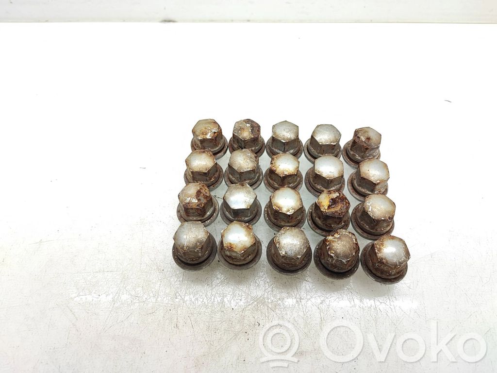 Nuts/bolts