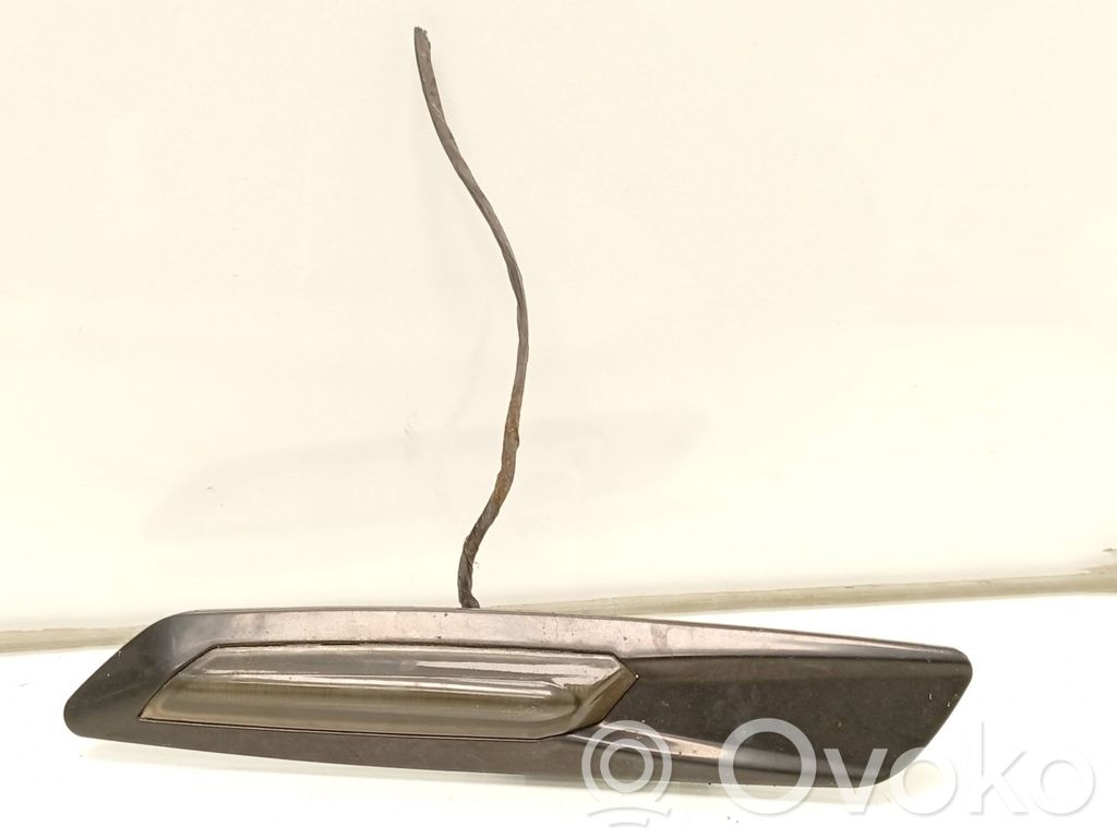 Front fender indicator light