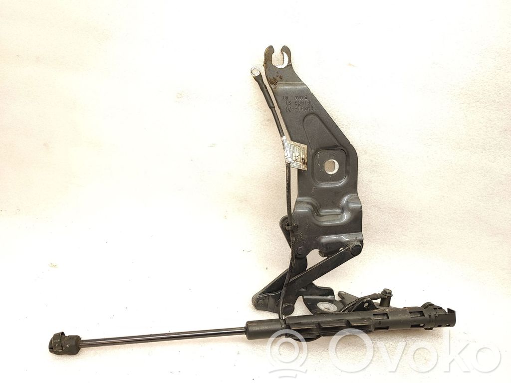 BMW X5 E70 Engine bonnet/hood hinges 
