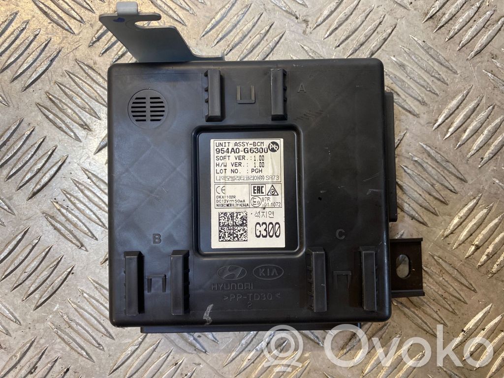 Kėbulo modulis   954A0G6300
