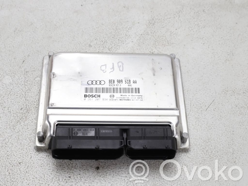 Audi A4 S4 B6 8E 8H Engine control unit/module 
