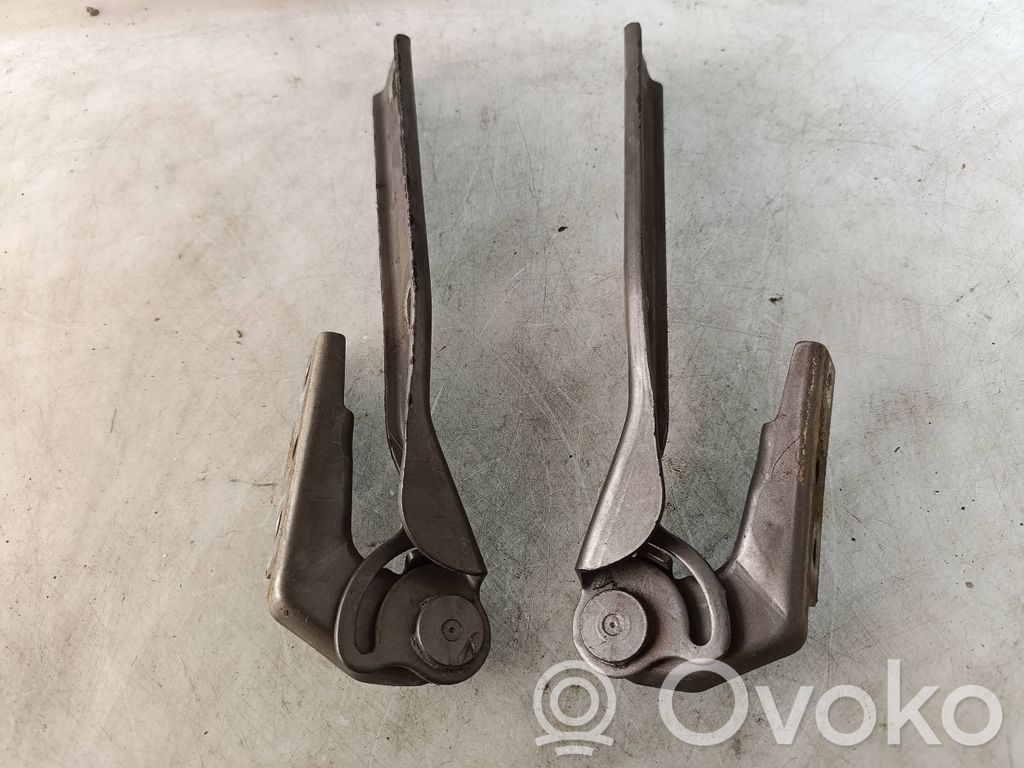 Volkswagen PASSAT B5.5 Engine bonnet/hood hinges 