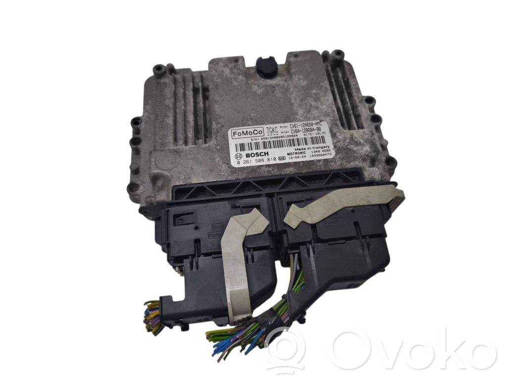 Ford Focus Engine control unit/module 