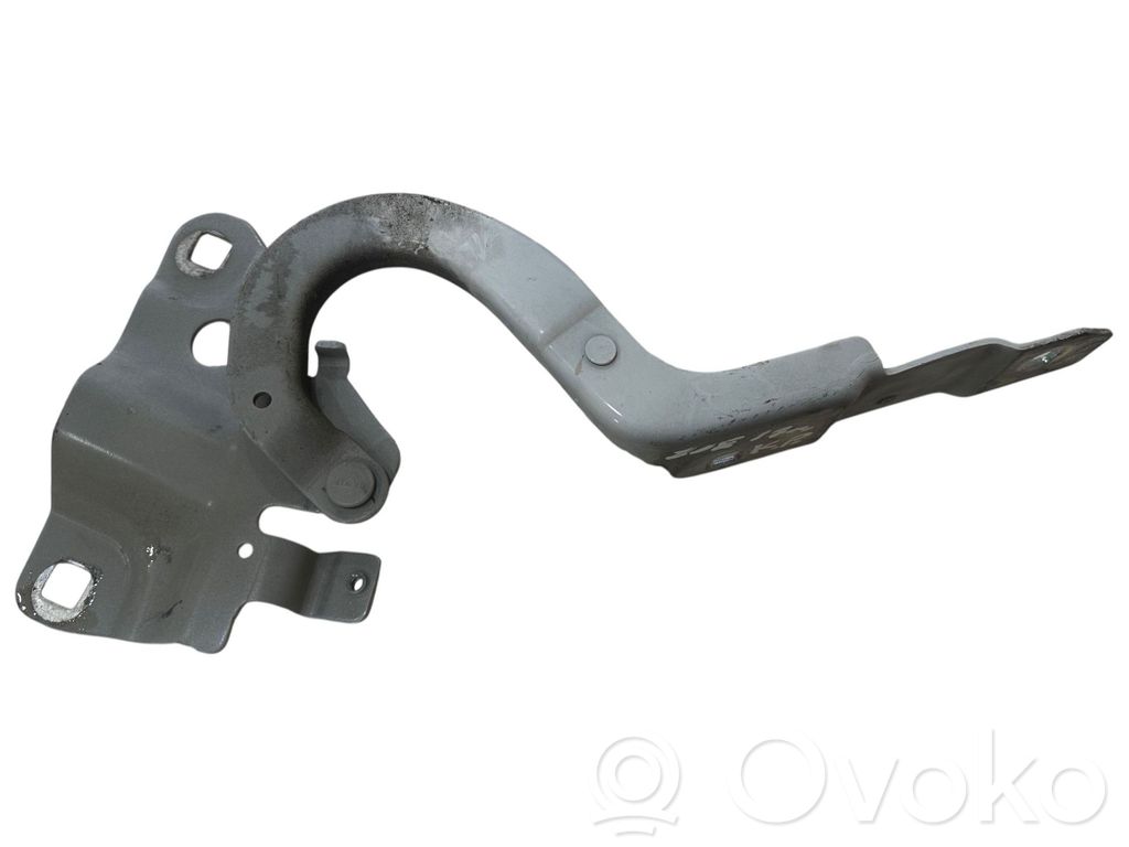 Renault Zoe Engine bonnet/hood hinges 