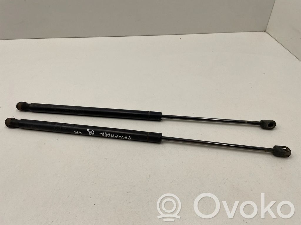 Land Rover Freelander 2 - LR2 Tailgate/trunk strut/damper 