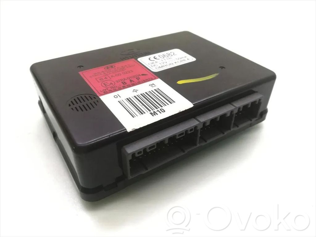 Inne komputery / moduły / sterowniki   954002E241,97RA010034