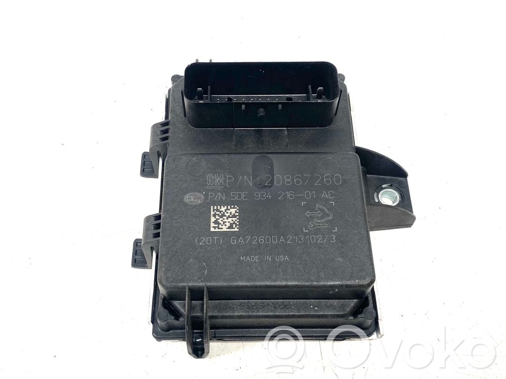 Opel Ampera Fuel injection pump control unit/module 