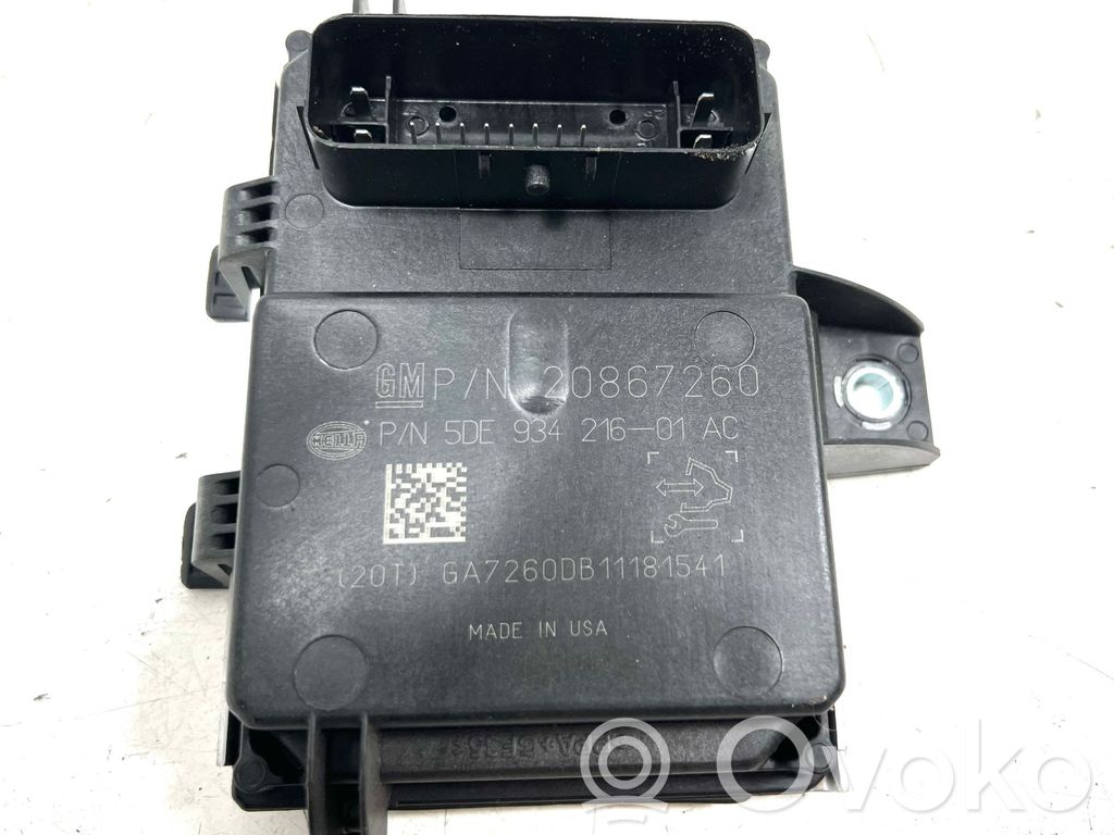 Opel Ampera Fuel injection pump control unit/module 