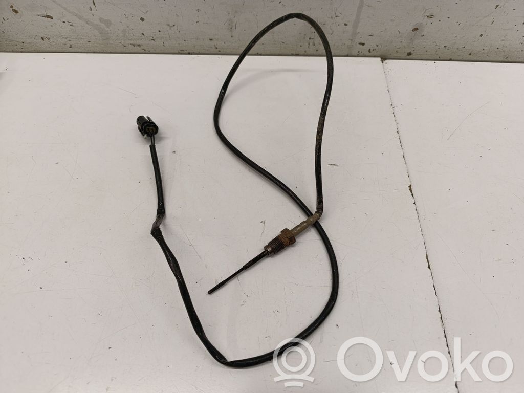 BMW 2 F44 Išmetamųjų dujų temperatūros daviklis 