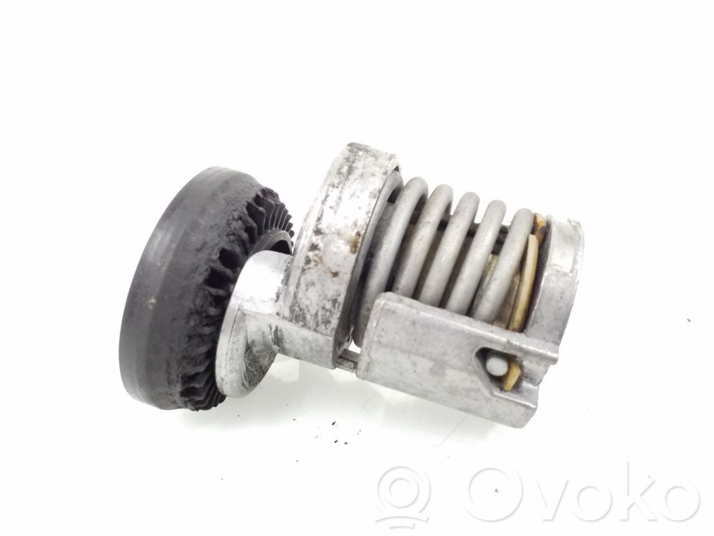 Volkswagen Polo Diržo įtempėjas 
