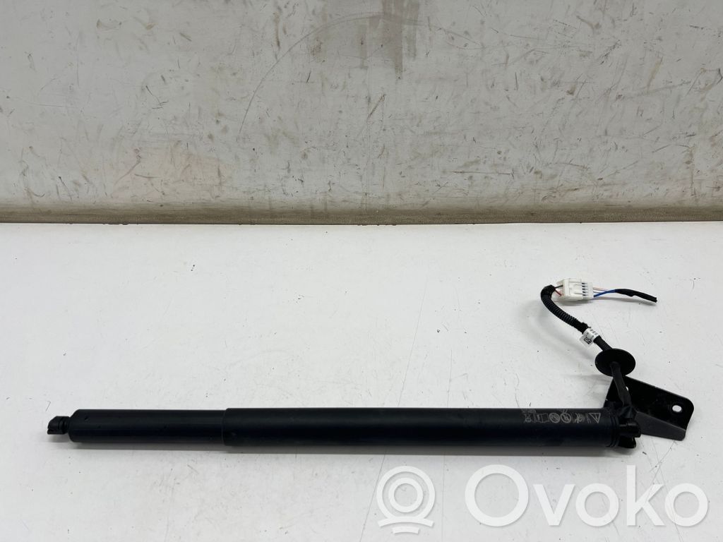 Renault Austral Tailgate/trunk strut/damper 