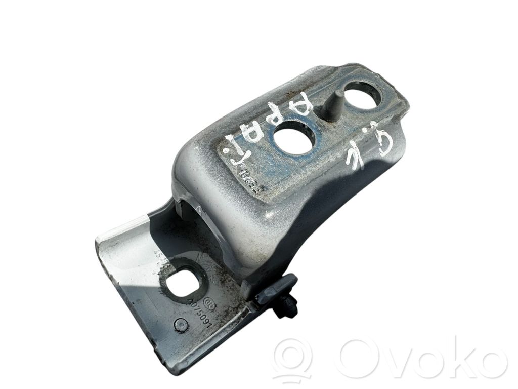 Citroen C3 Rear door lower hinge 