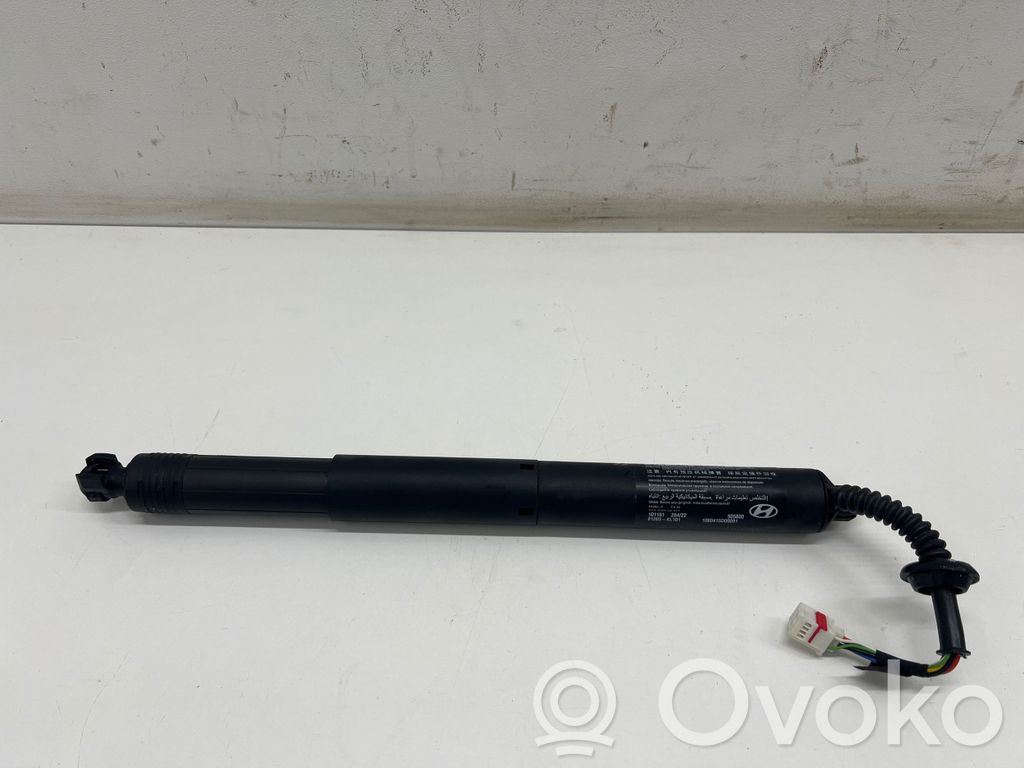 Amortyzator klapy tylnej bagażnika   81203KL101