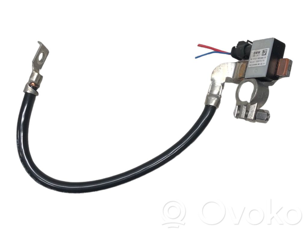 BMW 1 F20 F21 Positive cable (battery) 