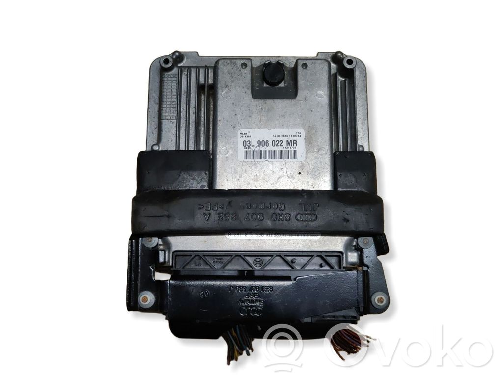 Engine control unit/module   03L906022MR,898408038