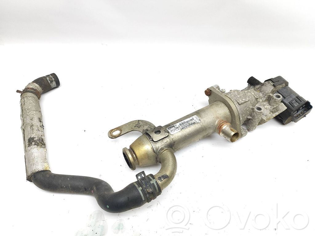 Citroen C5 EGR aušintuvas 