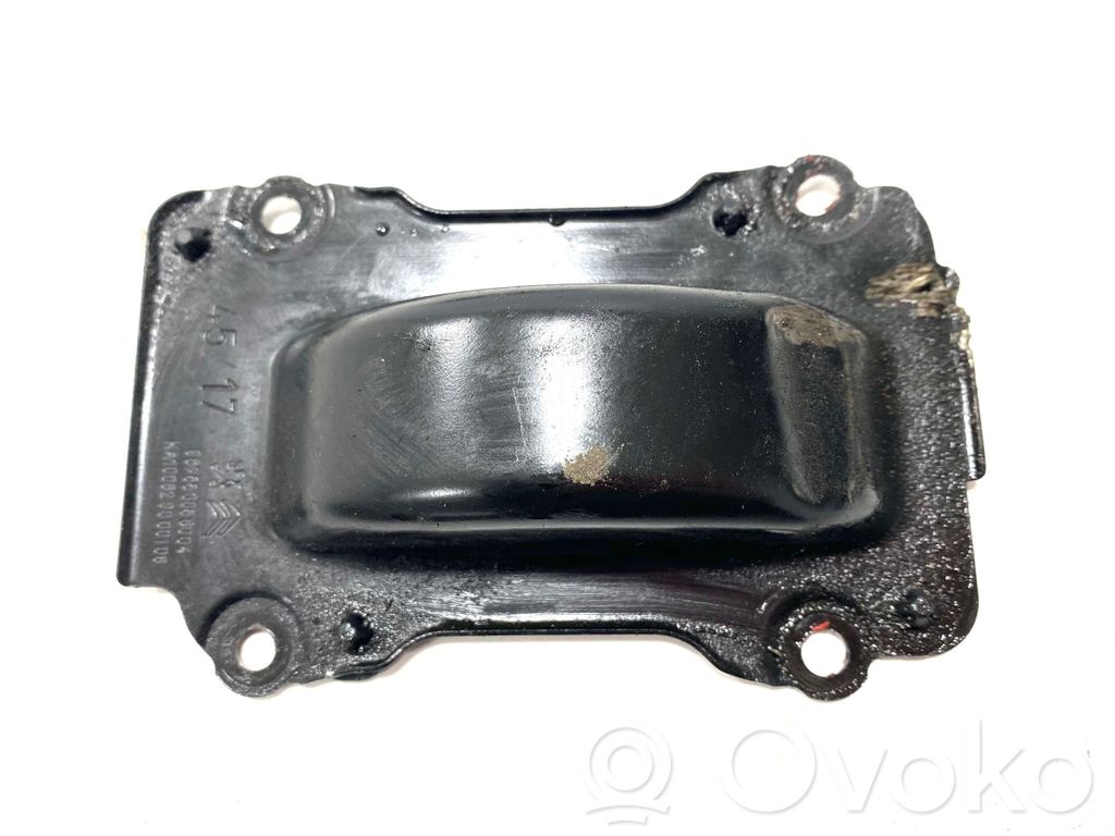 Osłona łańcucha rozrządu   967553858004,9675538580,KA100629000106