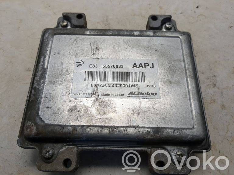 Engine control unit/module   55576683,86AAPJ54929301WS