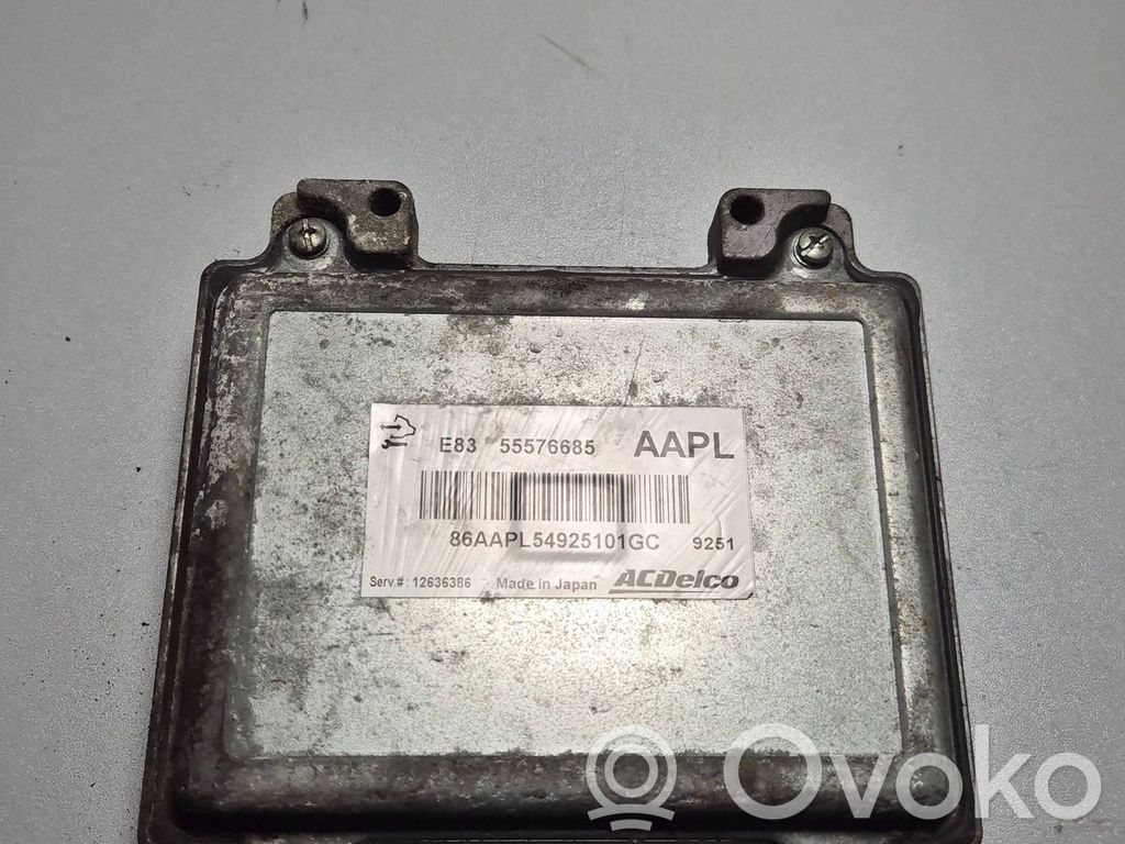 Engine control unit/module   55576685,12636386,8GAAPL54925101GC