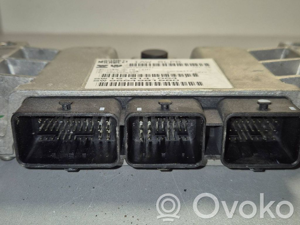 Peugeot 407 Engine control unit/module 