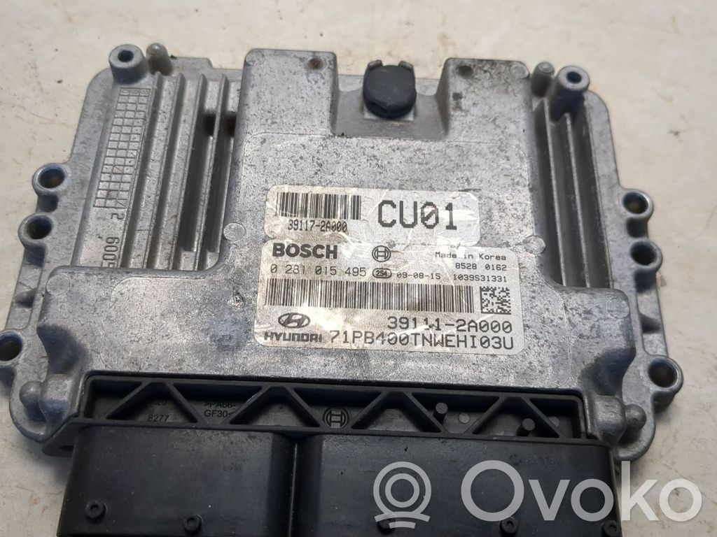 Sterownik / Moduł ECU   391172A000,0281015495,391112A000,1039S31331