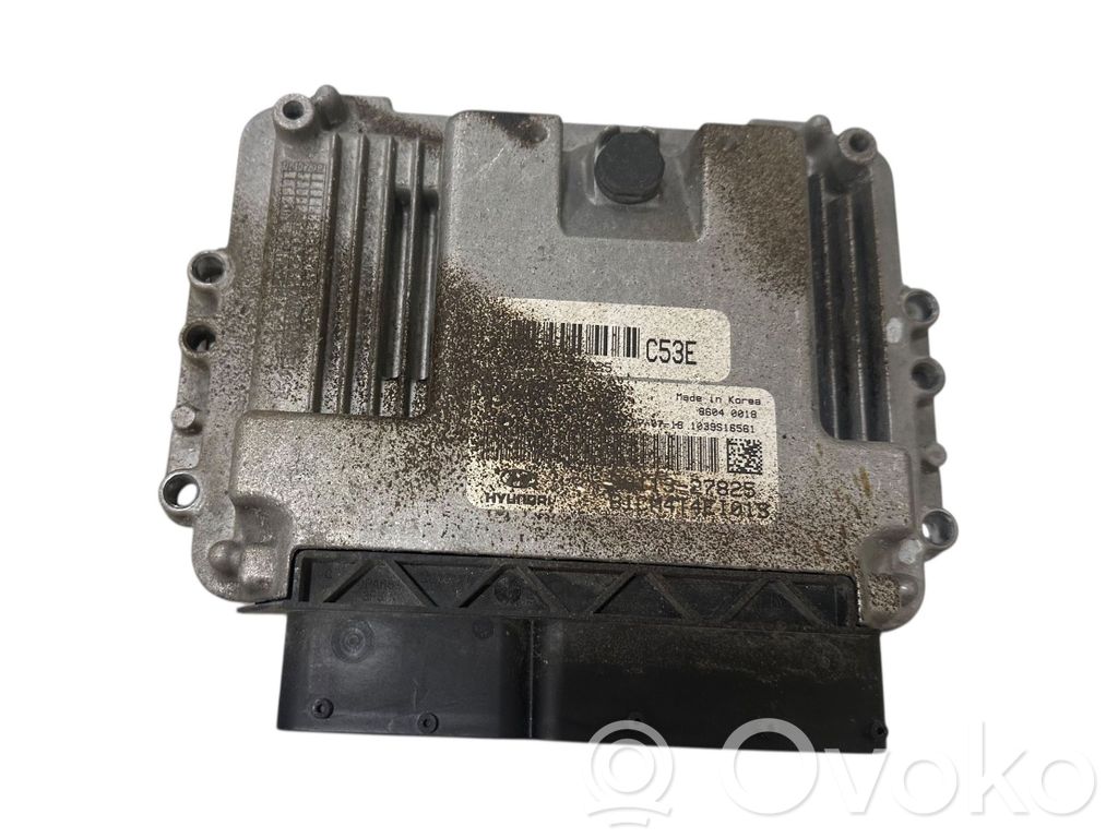 Hyundai Santa Fe Engine control unit/module 