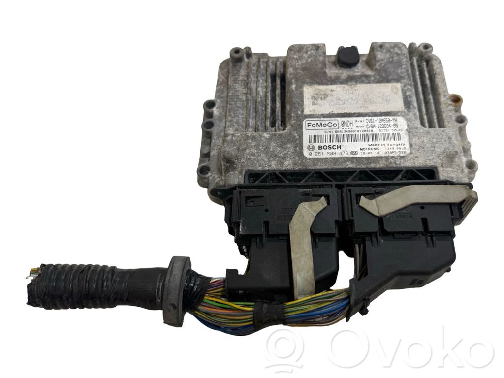 Ford Focus Engine control unit/module 