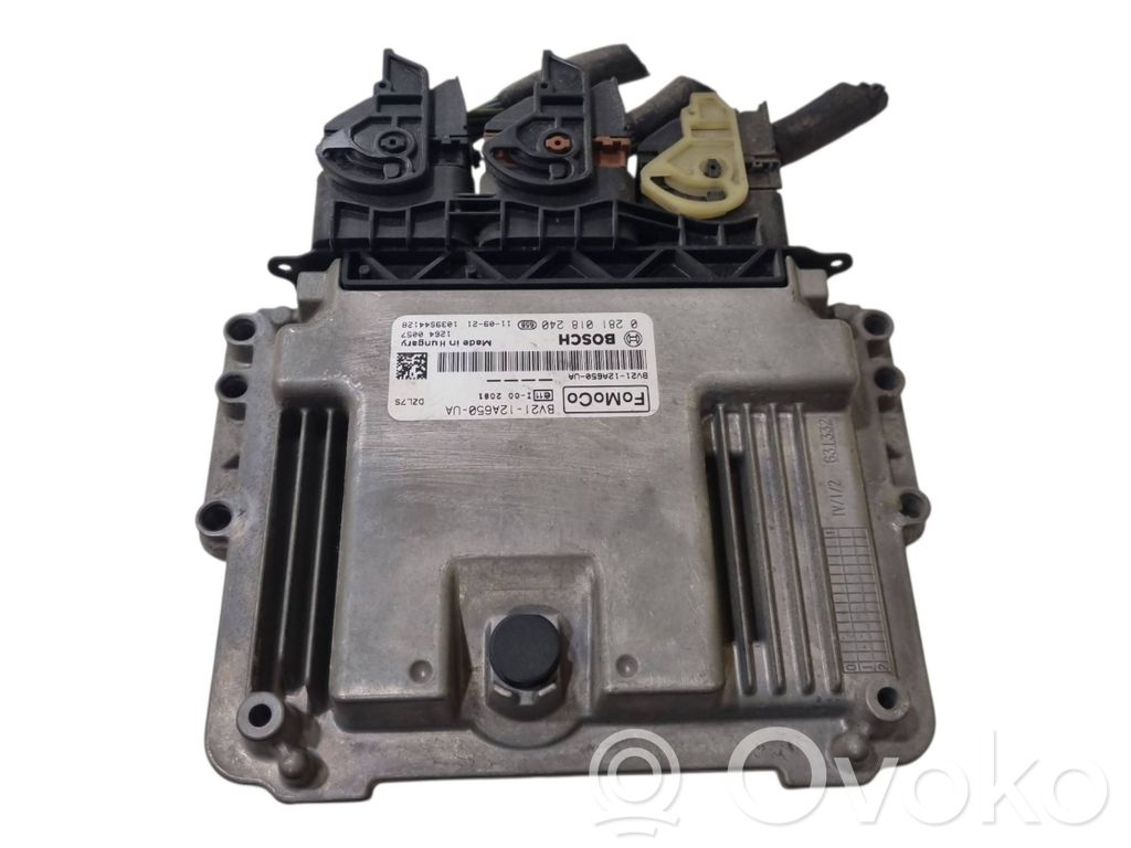 Ford Fiesta Engine control unit/module 