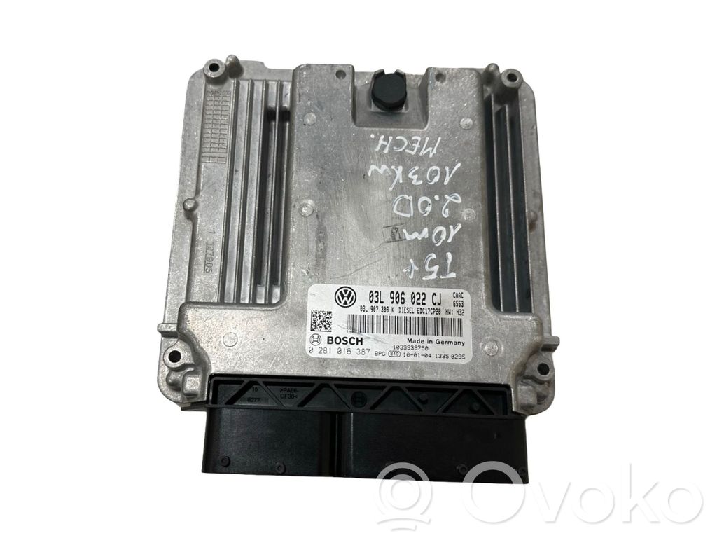 Sterownik / Moduł ECU   03L906022CJ,03L907309K,0281016387