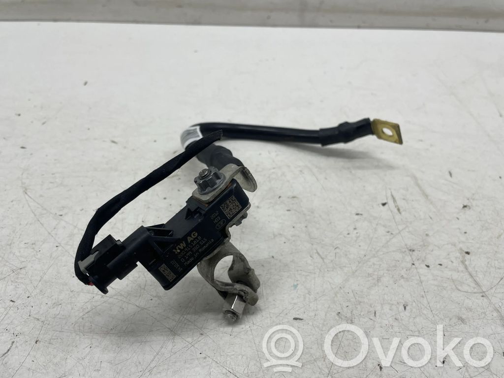 Skoda Kamiq Cable negativo de tierra (batería) 