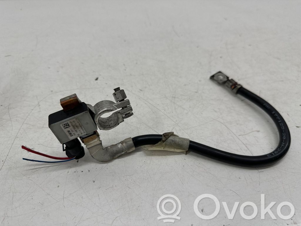 BMW 3 F30 F35 F31 Negative earth cable (battery) 