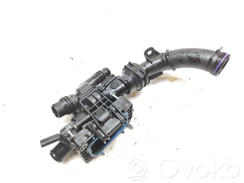 Citroen C3 Termostatas/ termostato korpusas 