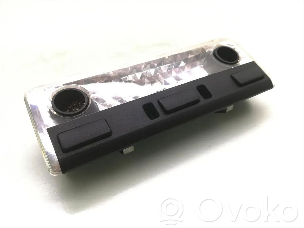 BMW X5 E53 Front seat light 