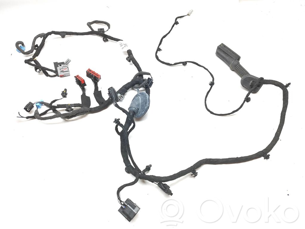 Cableado de puerta delantera   J9C314631,50249339000