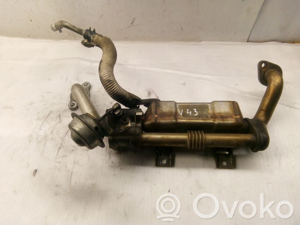 Toyota Corolla Verso AR10 Refrigerador de la válvula EGR 