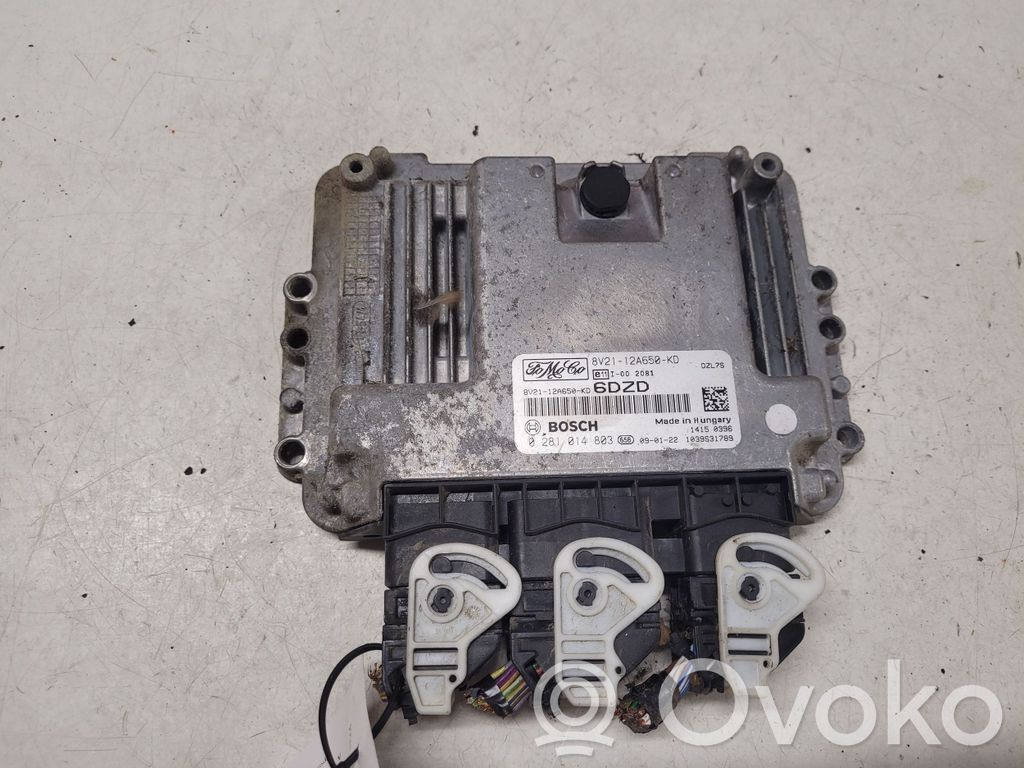 Ford Fiesta Engine control unit/module 