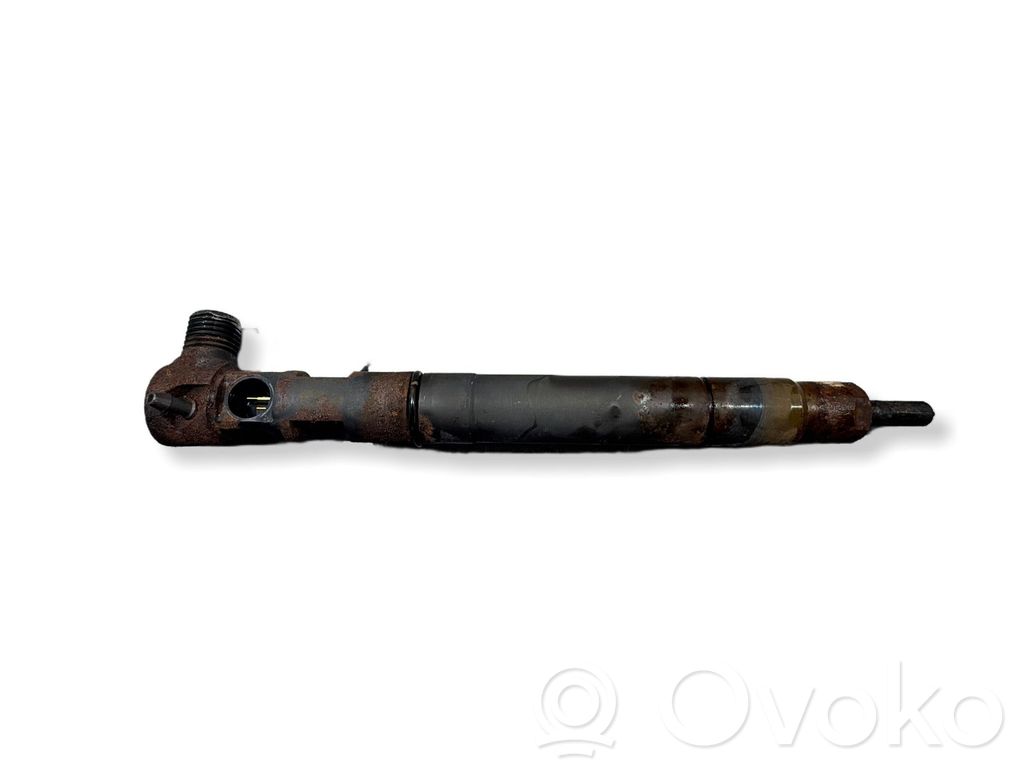 SsangYong Rodius Injector combustibil 