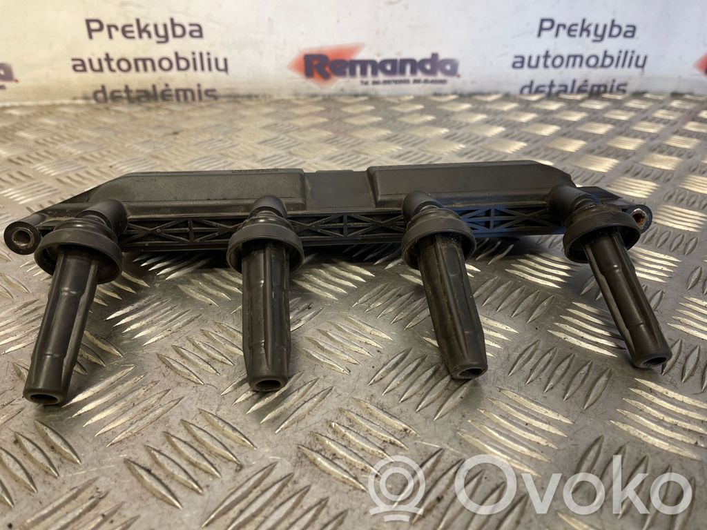Peugeot 206 Suurjännitesytytyskela 