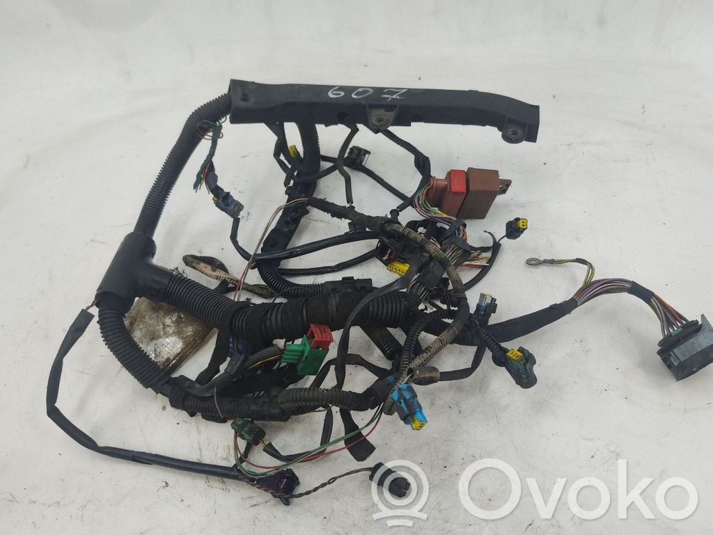 Peugeot 607 Cablaj motor 