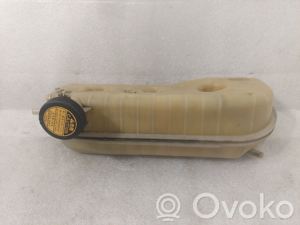 Toyota Corolla Verso AR10 Serbatoio di compensazione del liquido refrigerante/vaschetta 