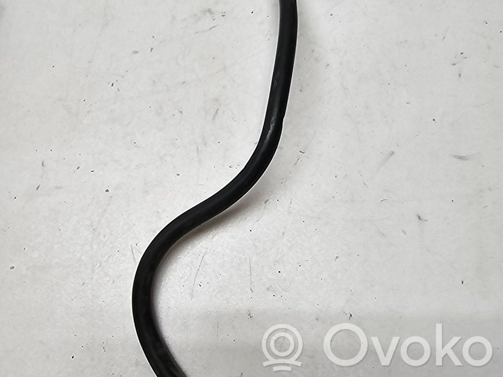 Ford Focus Cable negativo de tierra (batería) 