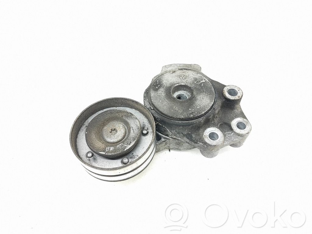 Volkswagen PASSAT B7 Întinzător curea generator/alternator 