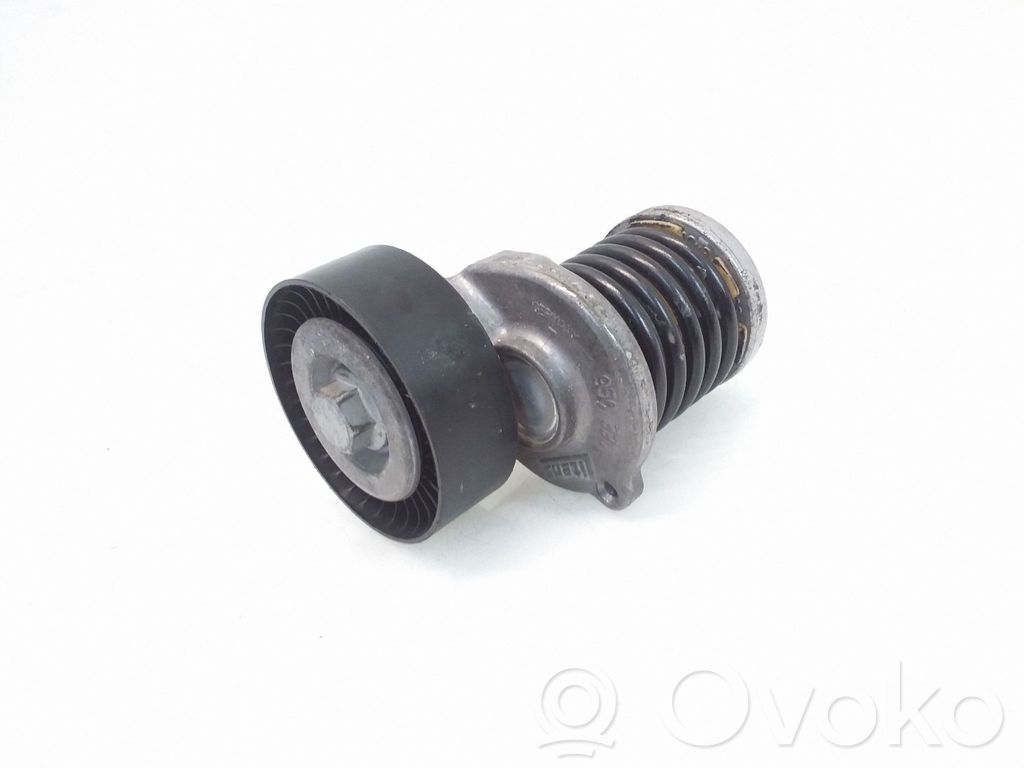 Skoda Fabia Mk1 (6Y) Întinzător curea generator/alternator 