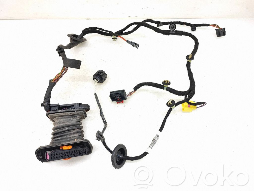Volkswagen PASSAT B7 Cablaggio porta anteriore