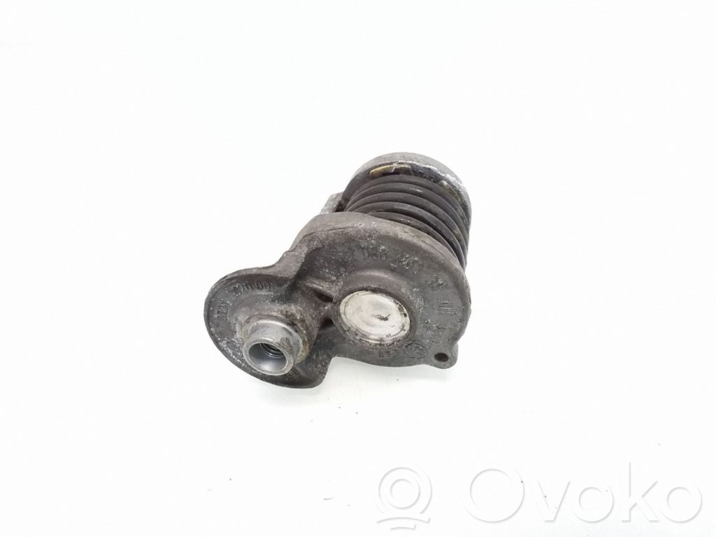 Audi A4 S4 B7 8E 8H Tensor de correa del alternador 