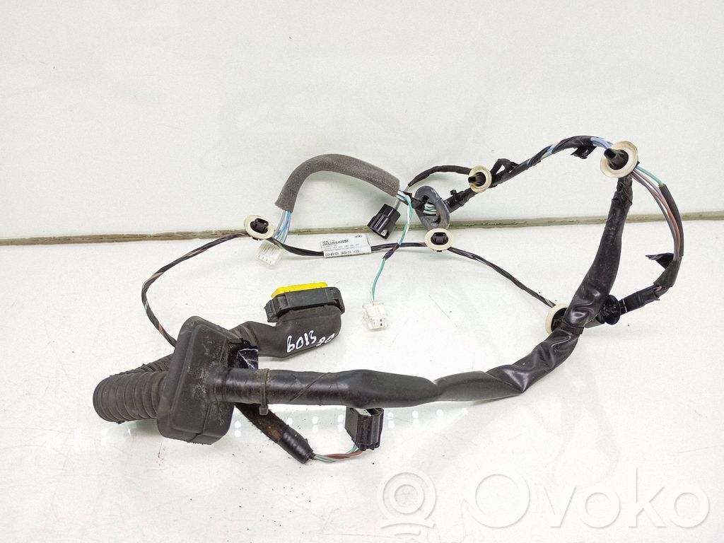 Renault Zoe Cableado de puerta trasera